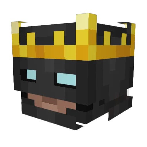 jervin1996 Minecraft avatar head, 3D render