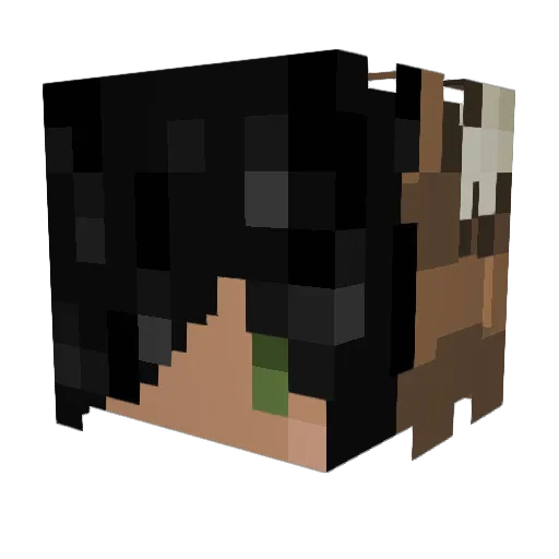 jesoy Minecraft avatar head, 3D render