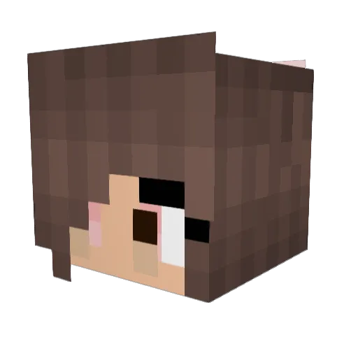 jess47 Minecraft avatar head, 3D render