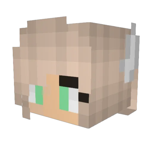 jess_wilson_13 Minecraft avatar head, 3D render