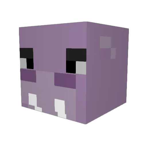 jessaidan Minecraft avatar head, 3D render