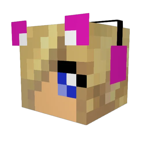 jesscown Minecraft avatar head, 3D render
