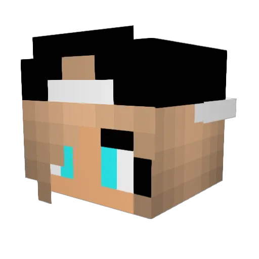 jesse9286 Minecraft avatar head, 3D render
