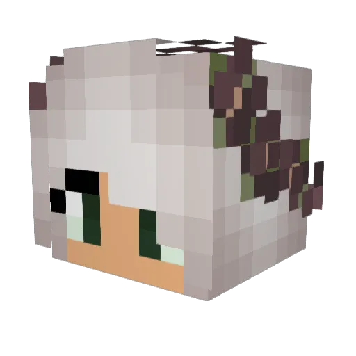 jessica6742 Minecraft avatar head, 3D render