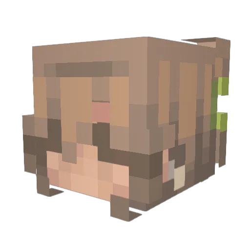 jessicacrisna Minecraft avatar head, 3D render