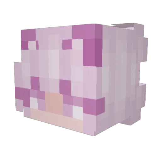 jessicaii2 Minecraft avatar head, 3D render