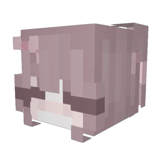 jessicaqty Minecraft avatar head, 3D render