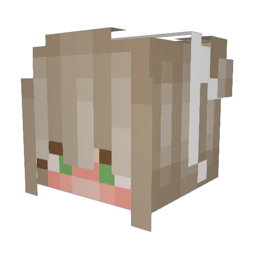 jessie547 Minecraft avatar head, 3D render