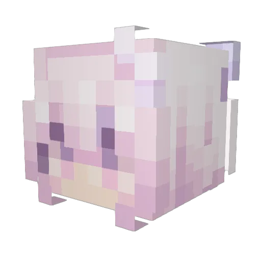 jessie55 Minecraft avatar head, 3D render