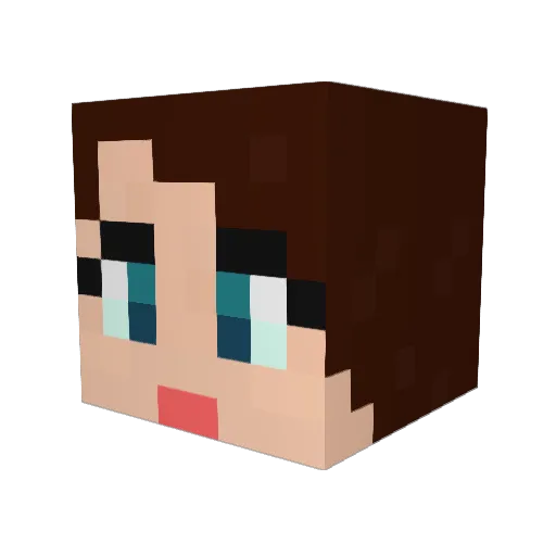 jessiedoodles Minecraft avatar head, 3D render