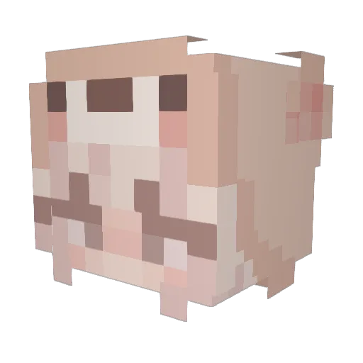jessiiebear Minecraft avatar head, 3D render