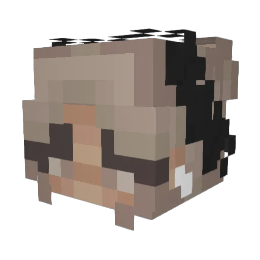 jesslucas Minecraft avatar head, 3D render