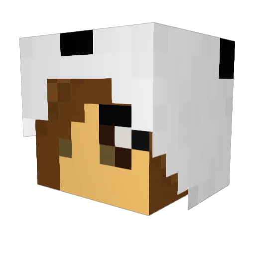 jesspri Minecraft avatar head, 3D render