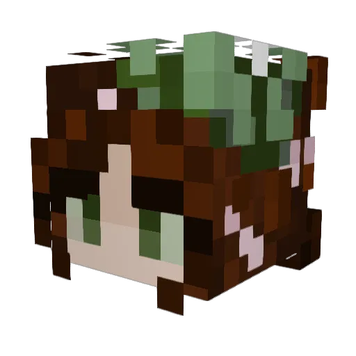 jessrubi Minecraft avatar head, 3D render