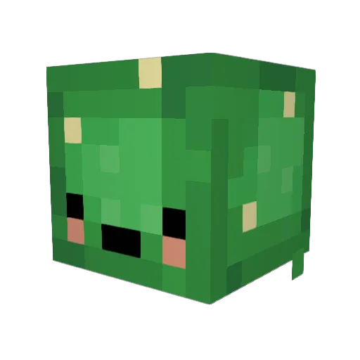 jessthepr1ck Minecraft avatar head, 3D render