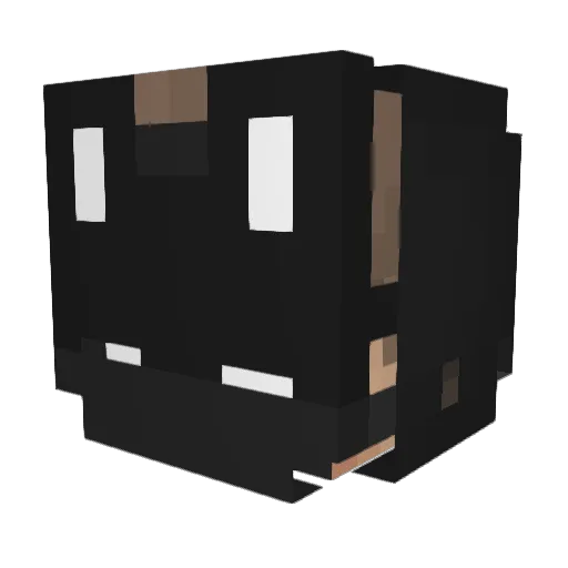 jestepojebe Minecraft avatar head, 3D render