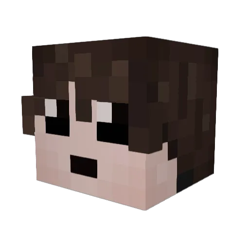 jester_tbh Minecraft avatar head, 3D render