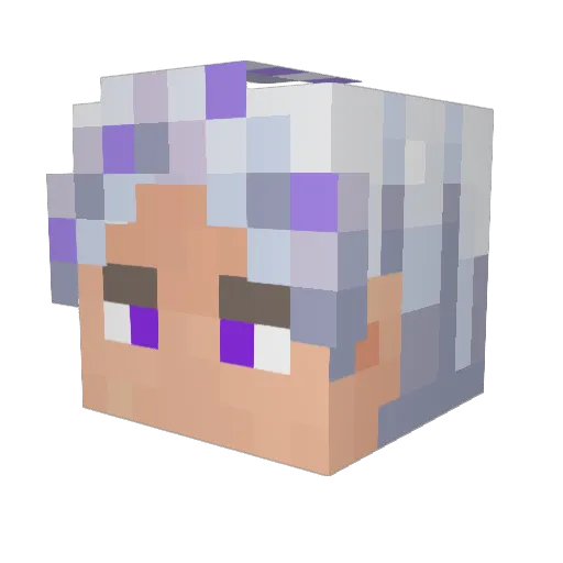 jestrrocheck Minecraft avatar head, 3D render