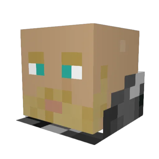 jetblackcat5 Minecraft avatar head, 3D render