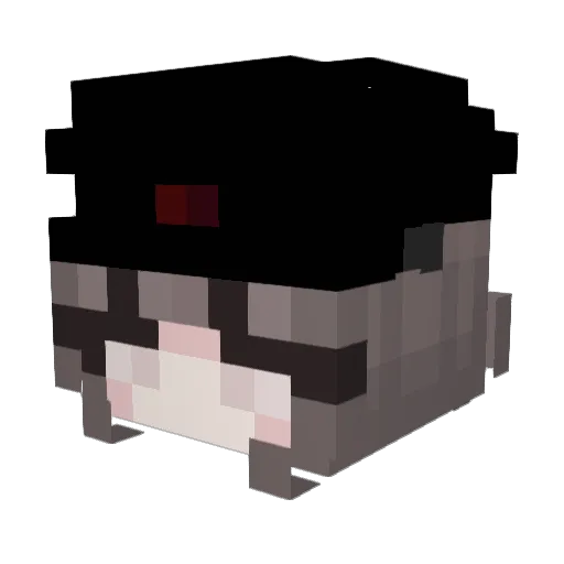 jetlagvibes Minecraft avatar head, 3D render
