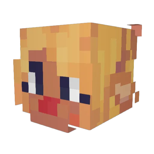 jetopyon Minecraft avatar head, 3D render