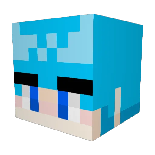 jetora8341 Minecraft avatar head, 3D render