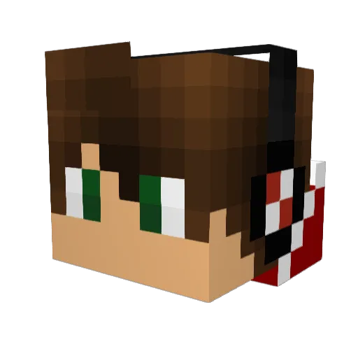 jetplane20 Minecraft avatar head, 3D render