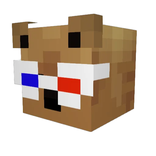 jetpunch Minecraft avatar head, 3D render