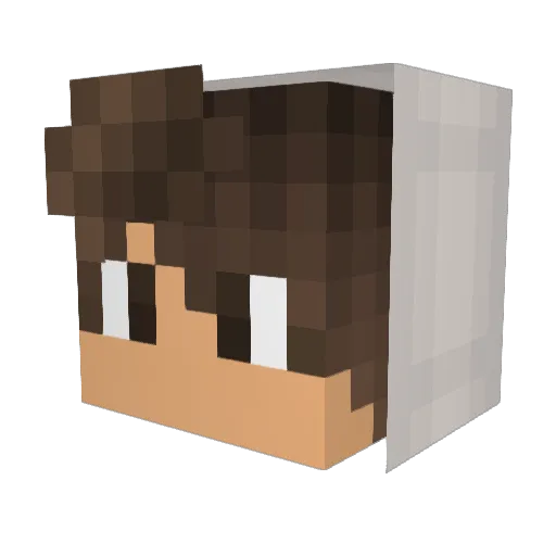 jets_0105 Minecraft avatar head, 3D render