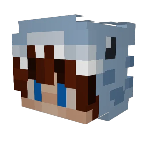 jetstorm2010 Minecraft avatar head, 3D render