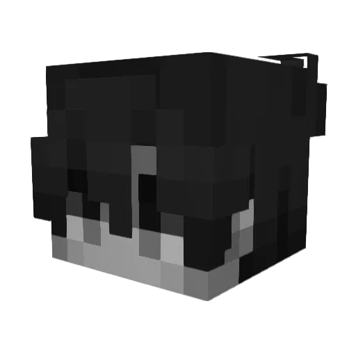 jettking_ Minecraft avatar head, 3D render
