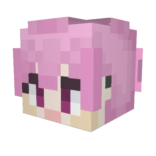 jetty02 Minecraft avatar head, 3D render