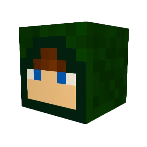 jettyboo Minecraft avatar head, 3D render