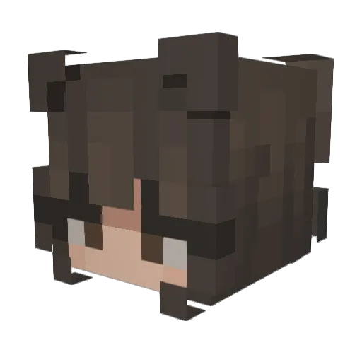 jeunlix Minecraft avatar head, 3D render