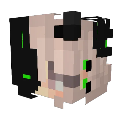 jewelfly2020 Minecraft avatar head, 3D render