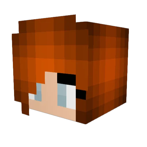 jewels360 Minecraft avatar head, 3D render