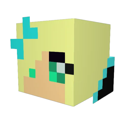jewelsturtle14 Minecraft avatar head, 3D render