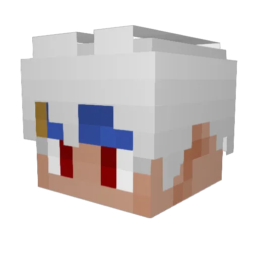 jfhdkx Minecraft avatar head, 3D render