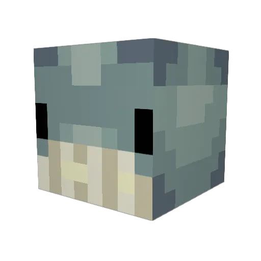 jfish799 Minecraft avatar head, 3D render