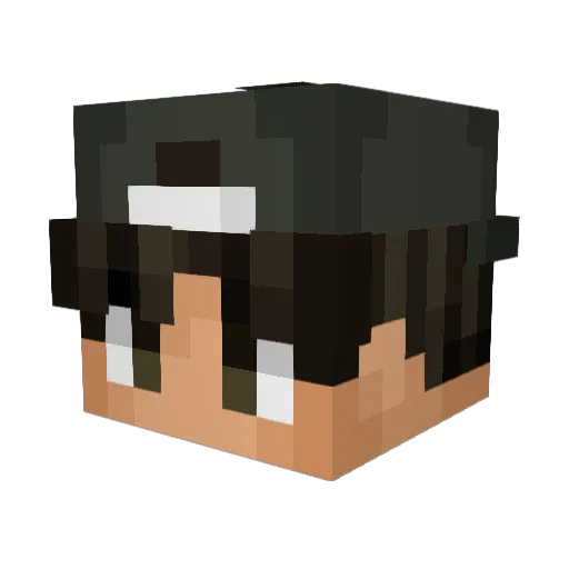 jfn1020 Minecraft avatar head, 3D render