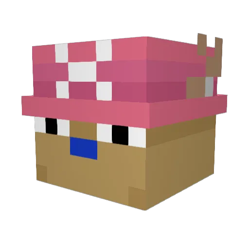 jfoogs3 Minecraft avatar head, 3D render