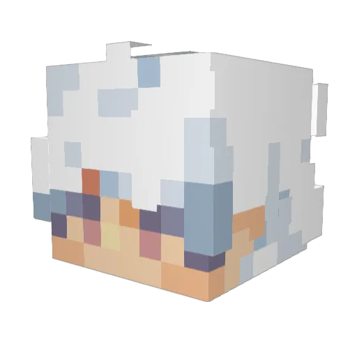 jfred097 Minecraft avatar head, 3D render