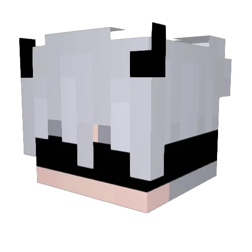 jglive0w0 Minecraft avatar head, 3D render
