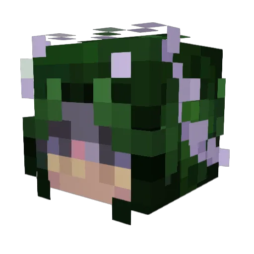 jgrizzly0727 Minecraft avatar head, 3D render