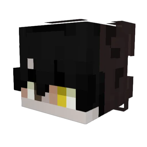 jgtlws Minecraft avatar head, 3D render