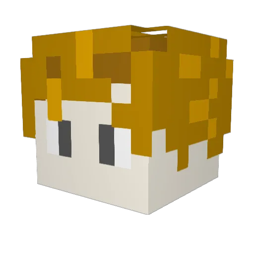 jh_39 Minecraft avatar head, 3D render
