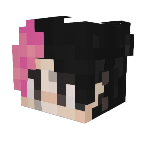 jhalo19 Minecraft avatar head, 3D render
