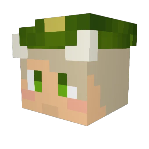 jhamez666 Minecraft avatar head, 3D render