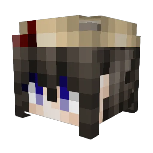 jheiden056 Minecraft avatar head, 3D render