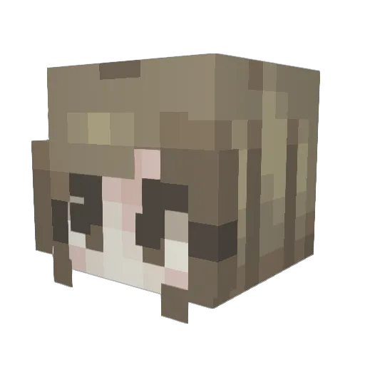 jheri_ Minecraft avatar head, 3D render